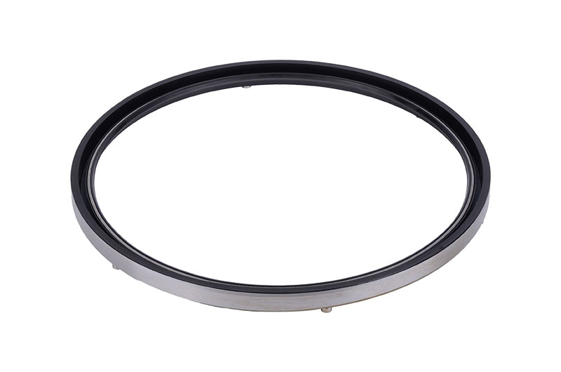 SBB skeleton oil seal